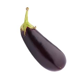 Aubergine