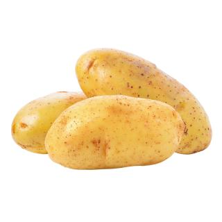 Kartoffel Anabelle fk (Frühkartoffel)