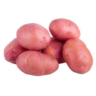 Kartoffel Finka vfk