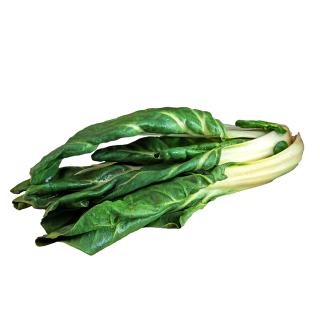 Mangold grün