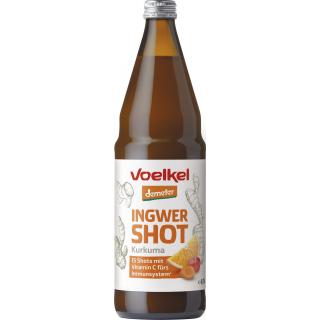 Shot Ingwer & Kurkuma mit Orangensa 750 ml