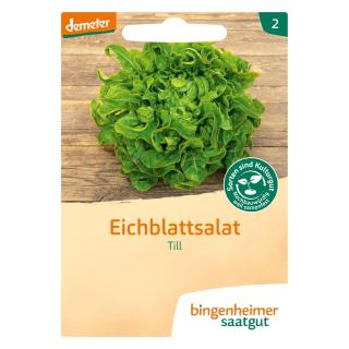 Till - Pflücksalat (Saatgut)  1St