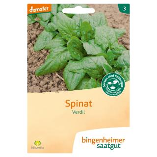 Verdil - Spinat (Saatgut)  1St