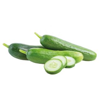 Salatgurke-Mini